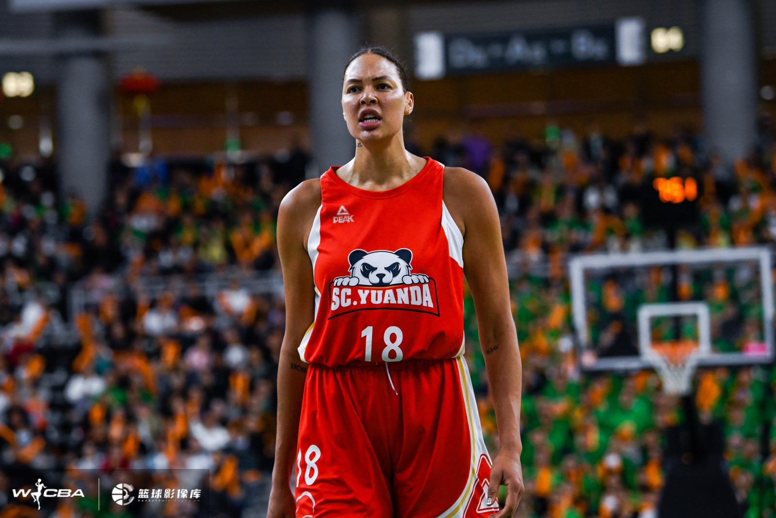 连续击打张茹面部！坎贝奇被禁赛1场&将缺席今晚比赛 并罚款5千元